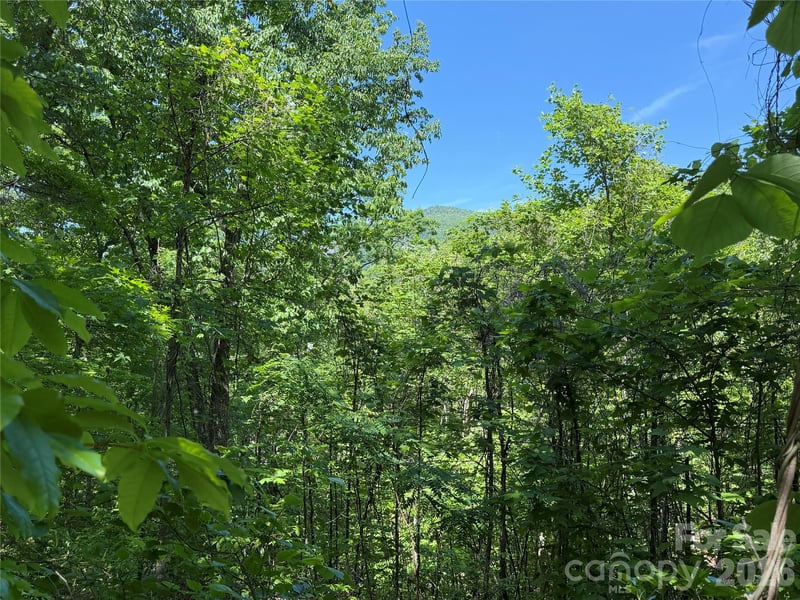 0 Buffalo Shoals Rd #1, Lake Lure, NC 28746