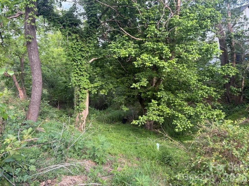 111 Waynesville Ave, Asheville, NC 28806