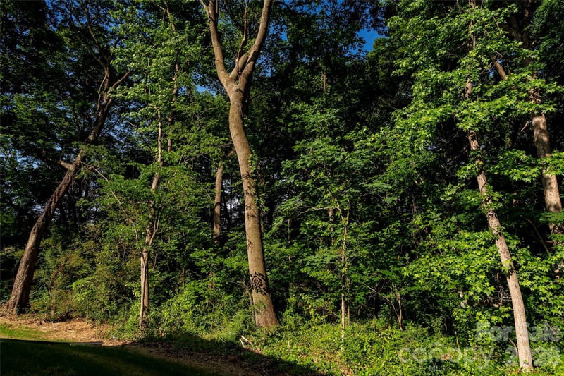 3004 Buffet Ln, Monroe, NC 28110