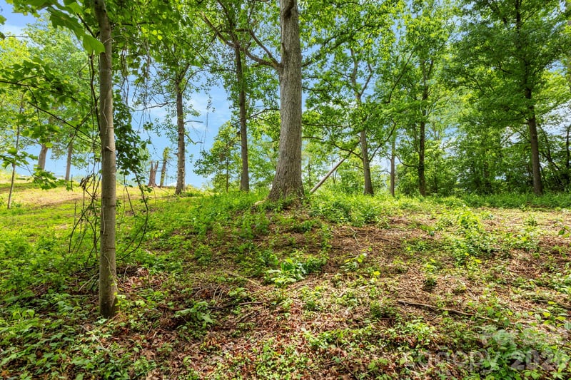 99999 Wild Goose Way #2R, Asheville, NC 28804