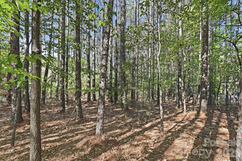 158 Blue Ridge Trl, Mooresville, NC 28117