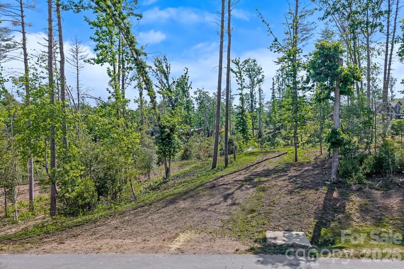 325 Flowering Vine Ct, Asheville, NC 28803