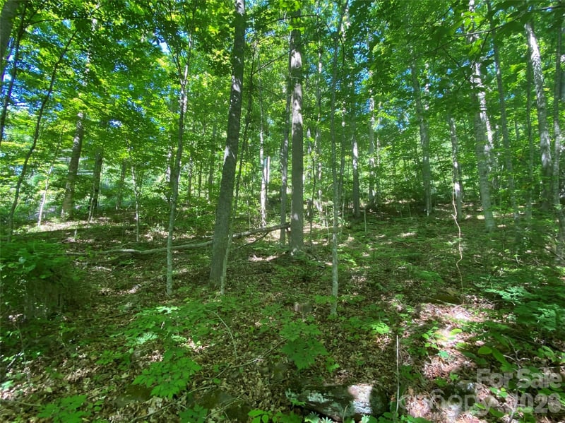 00 Wildwood Dr, Burnsville, NC 28714