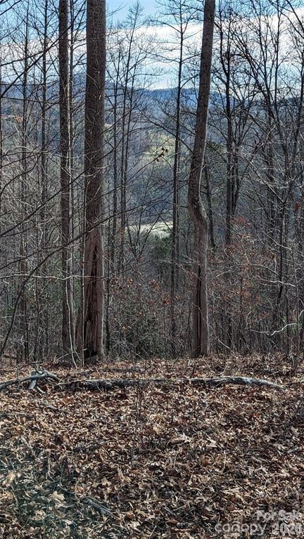 512 Wild River Rn #65, Marshall, NC 28753