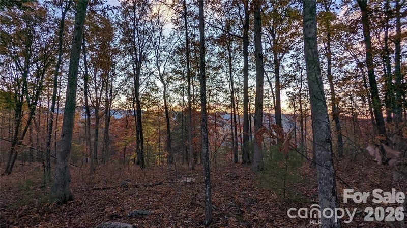 512 Wild River Rn #65, Marshall, NC 28753
