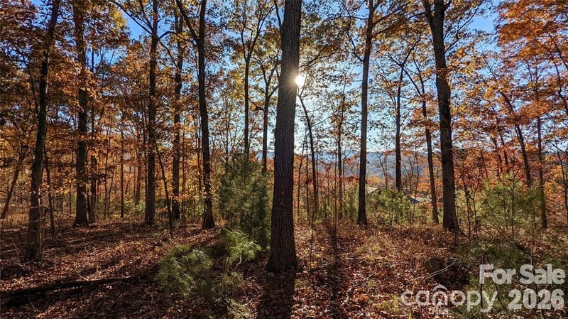 512 Wild River Rn #65, Marshall, NC 28753