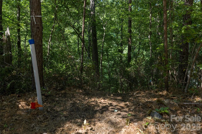 9999 Dogwood Dr, Lake Lure, NC 28746