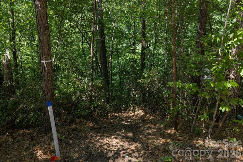 9999 Dogwood Dr, Lake Lure, NC 28746