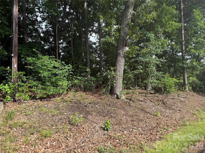 00 Brookhaven Dr, Lincolnton, NC 28092