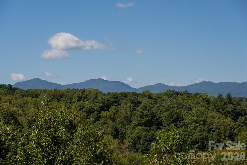 68 Sweet Fern Pw, Asheville, NC 28804