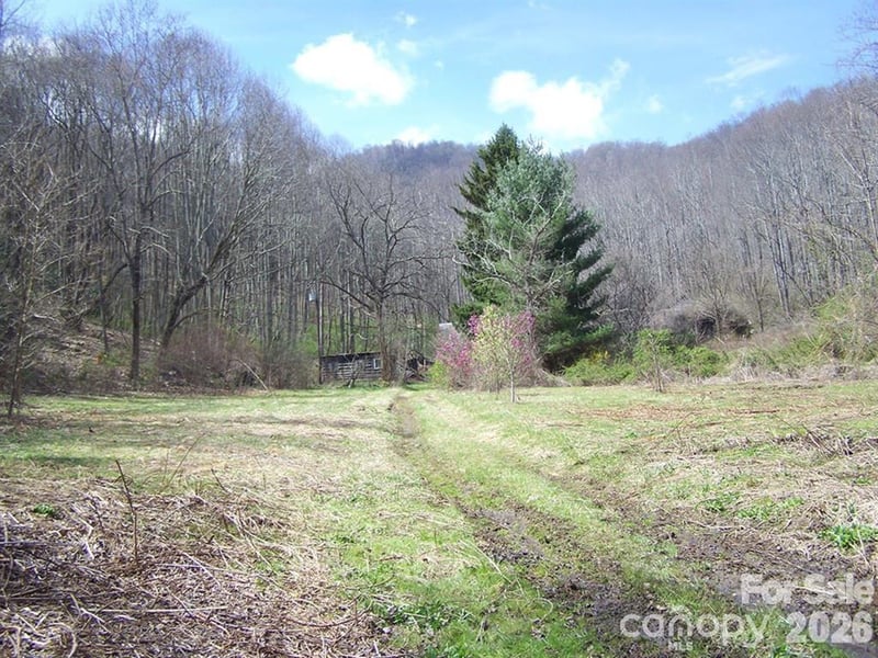 58 Collier Ln, Waynesville, NC 28786