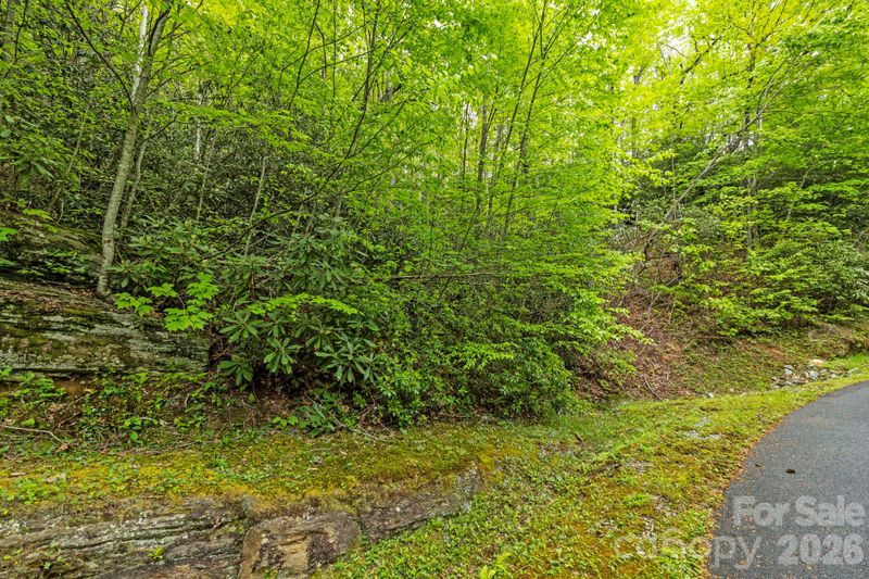 TBD Hickory Shaft Dr, Sapphire, NC 28774