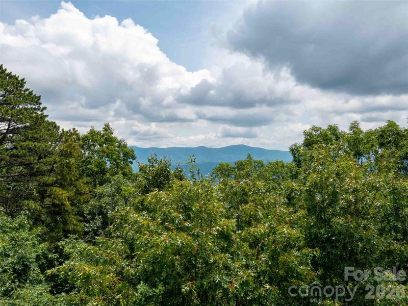 288 Eastman Pl, Mill Spring, NC 28756