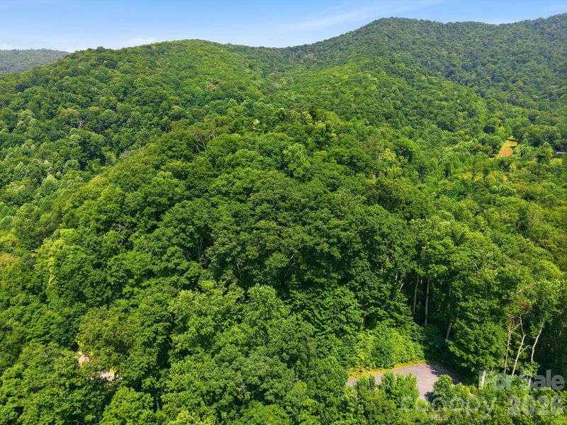 00 Triple Creek Dr #43, Clyde, NC 28721