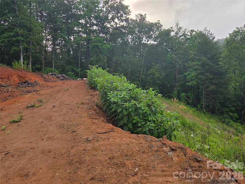 374 Big Branch Dr Lot 2 D, Mars Hill, NC 28754