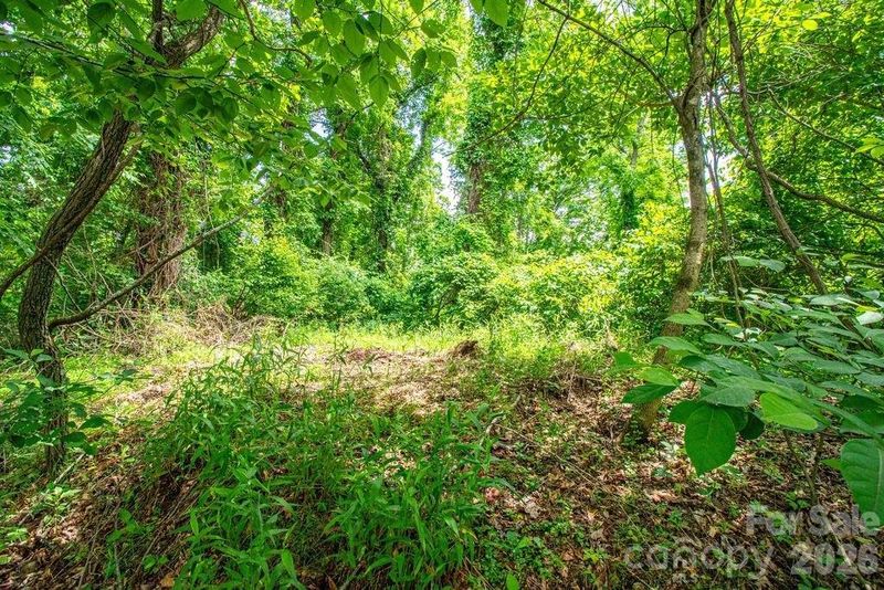 9999 Sandy Mush Creek Rd, Leicester, NC 28748