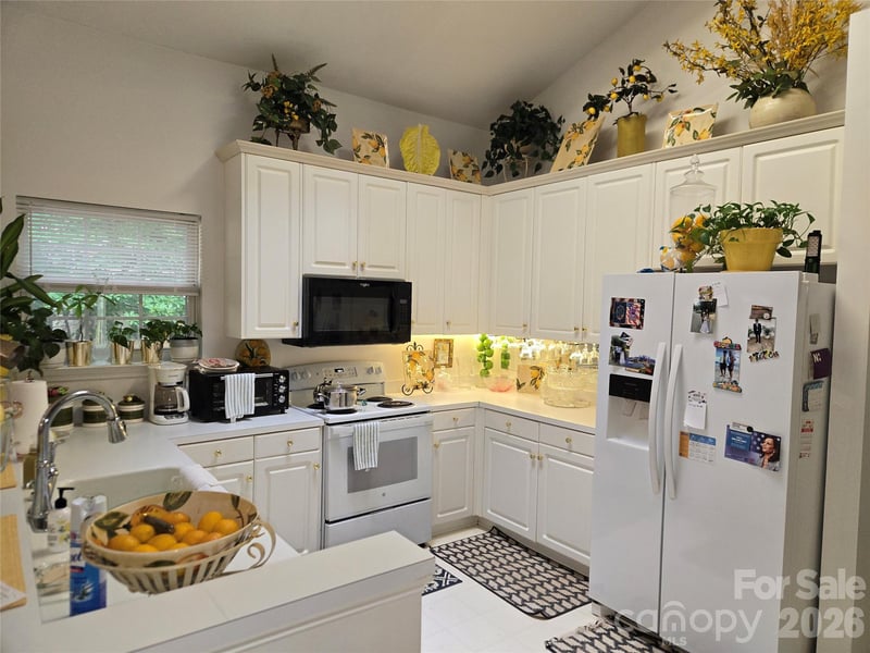 6313 Lily Pad Ct, Charlotte, NC 28262