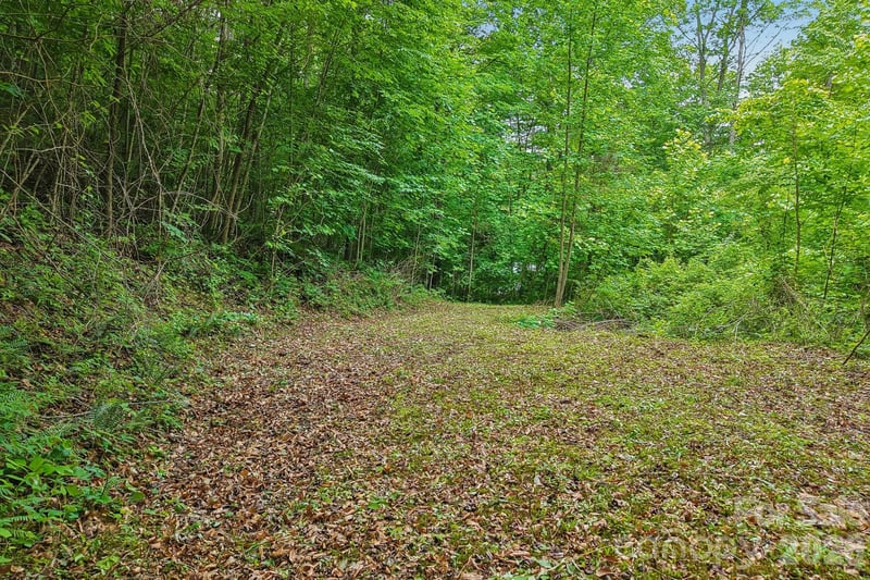 00 Sequoyah Dr, Waynesville, NC 29786