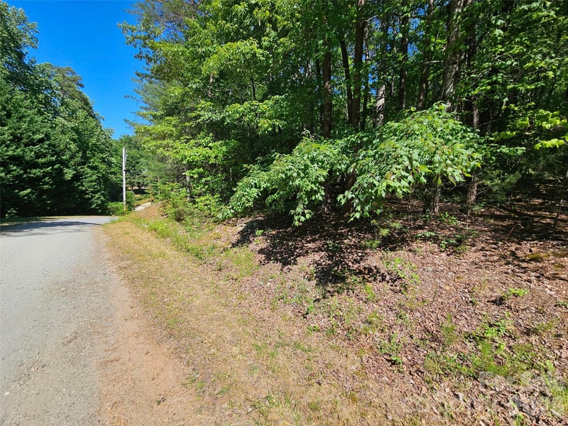 136 Doves Way #136, Lake Lure, NC 28746