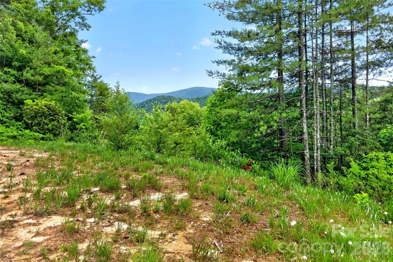 263 E Lester Ln, Hendersonville, NC 28739