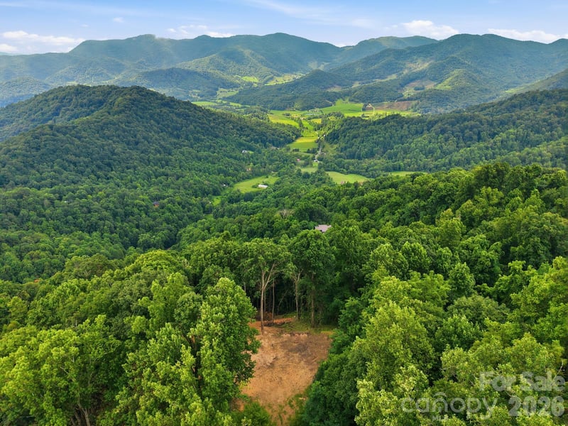 99999 Davidson Gap Rd #79, Leicester, NC 28748