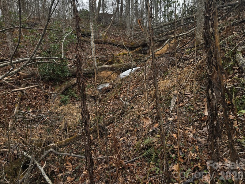 1480 Davis Mountain Rd, Hendersonville, NC 28739