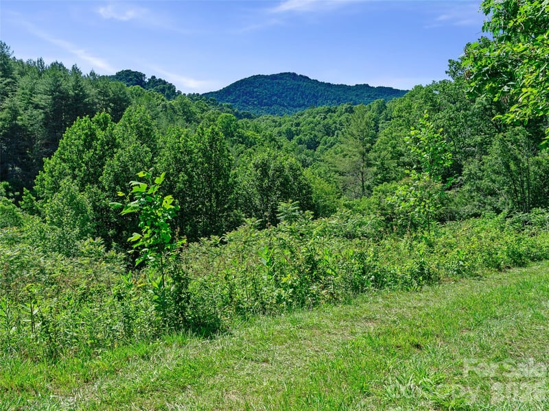 999 Us Hwy 19w Hw, Burnsville, NC 28714