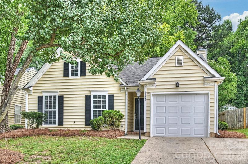 12048 Brownestone View Dr, Charlotte, NC 28269