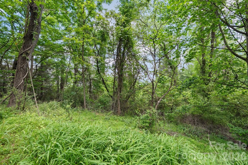 00000 Timberwood Dr, Asheville, NC 28806