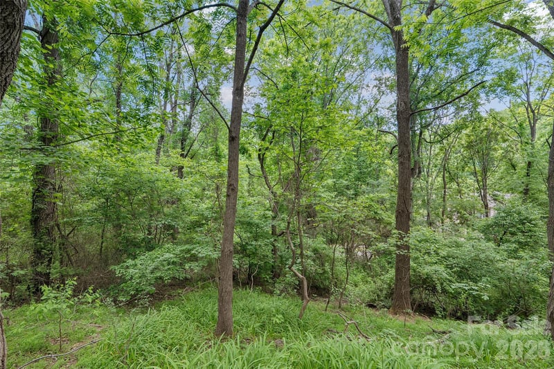 00000 Timberwood Dr, Asheville, NC 28806