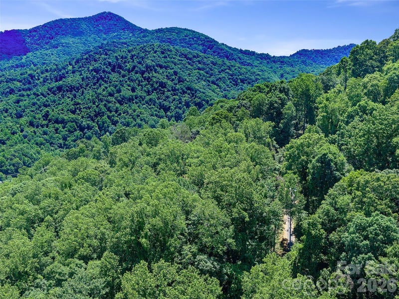 9999 Lovebird Ln #23, Candler, NC 28715