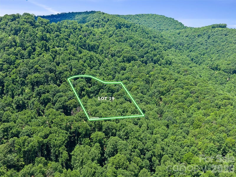 9999 Lovebird Ln #19, Candler, NC 28715