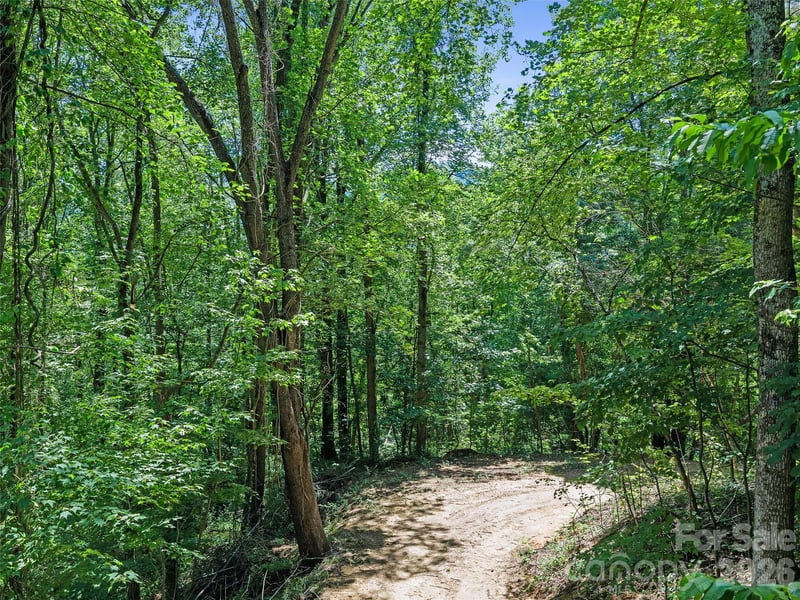 9999 Lovebird Ln #19, Candler, NC 28715
