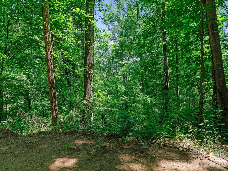 9999 Lovebird Ln #17, Candler, NC 28715