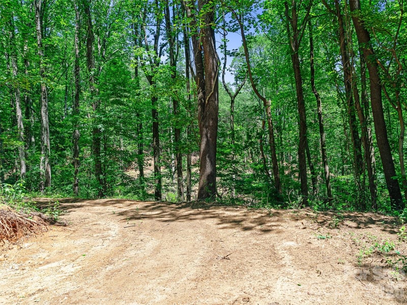 9999 Lovebird Ln #17, Candler, NC 28715
