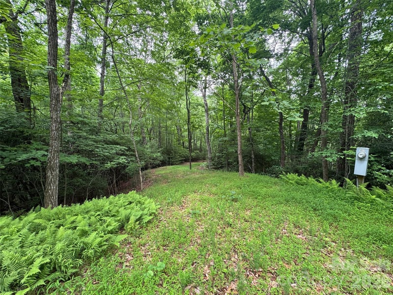 000 Chestnut Oak Ln, Pisgah Forest, NC 28768
