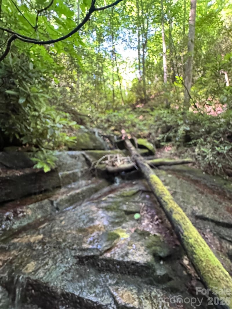 000 Chestnut Oak Ln, Pisgah Forest, NC 28768