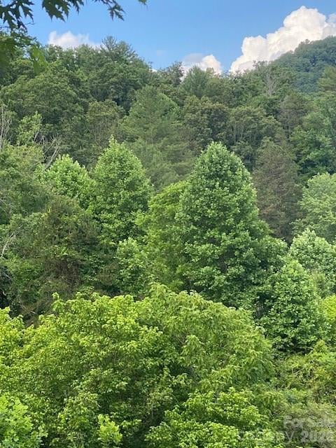 000 East Fork Rd, Marshall, NC 28753