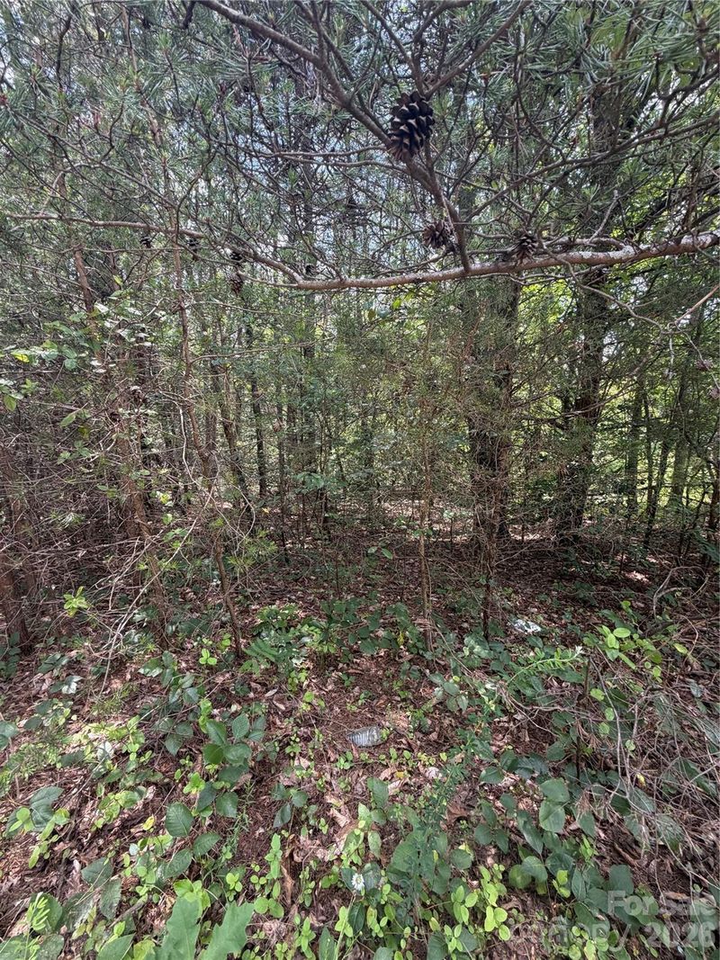 3542 Vilas Rd, Claremont, NC 28610