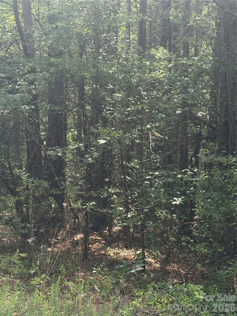 3542 Vilas Rd, Claremont, NC 28610