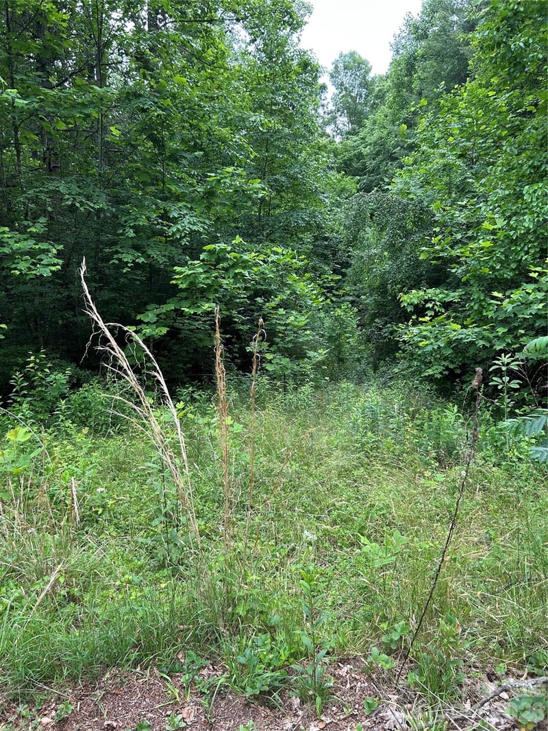 0 Silverstone Dr #16 & 17, Hendersonville, NC 28792