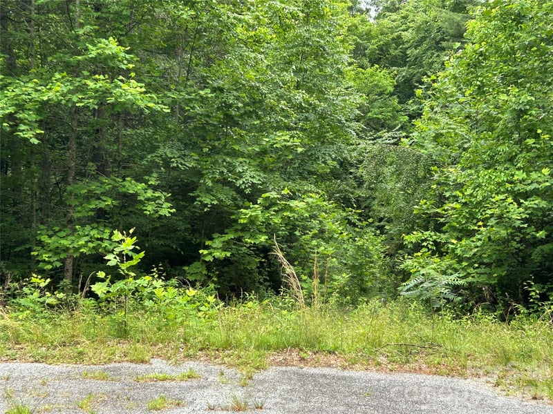 0 Silverstone Dr #16 & 17, Hendersonville, NC 28792
