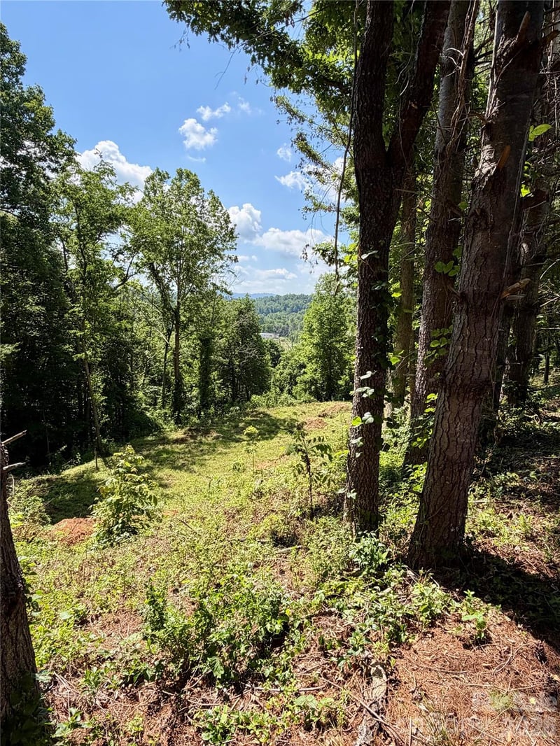 12 Willow Knoll Dr, Weaverville, NC 28787
