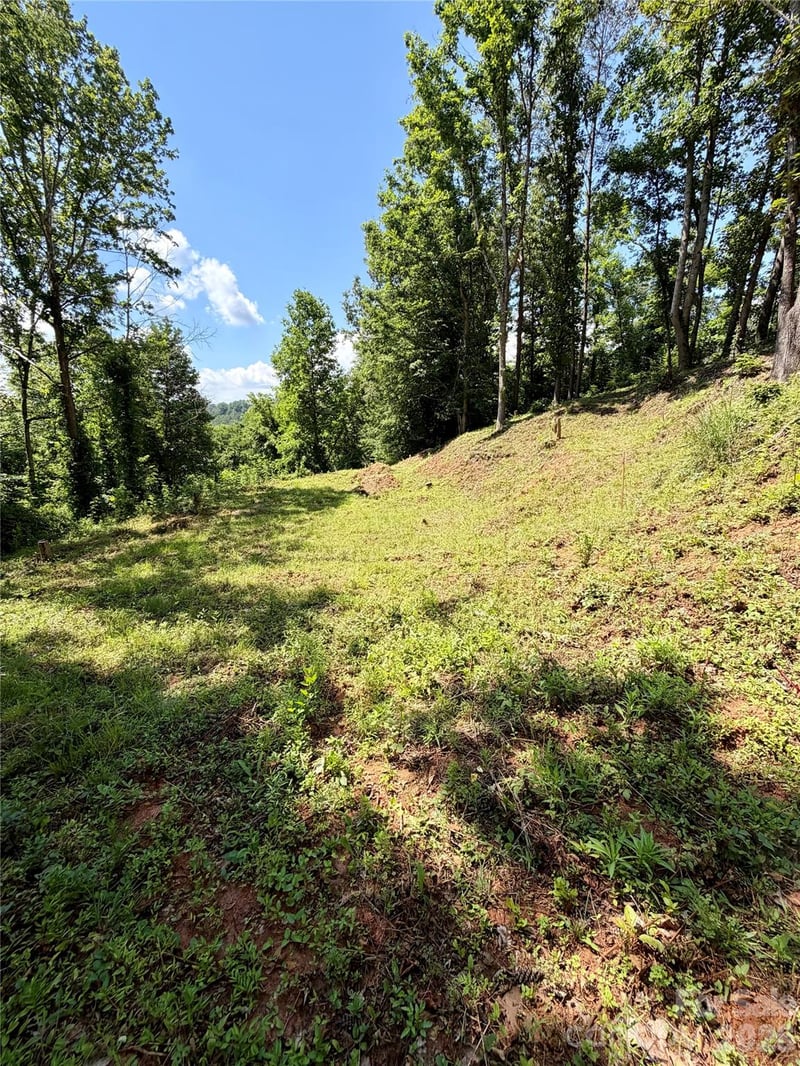 12 Willow Knoll Dr, Weaverville, NC 28787