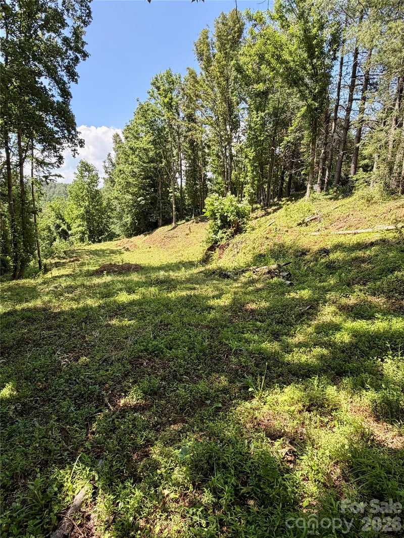 12 Willow Knoll Dr, Weaverville, NC 28787