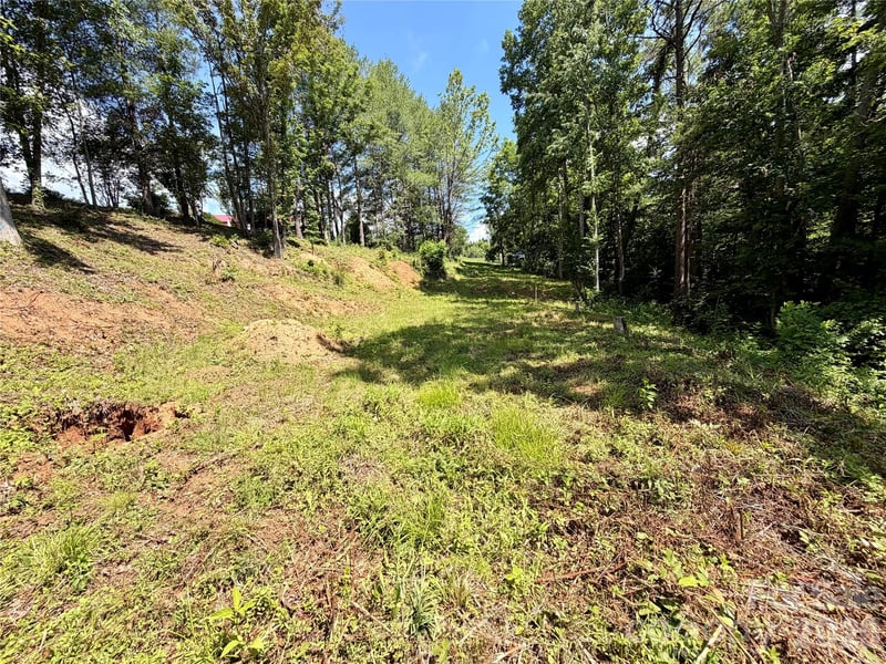 12 Willow Knoll Dr, Weaverville, NC 28787