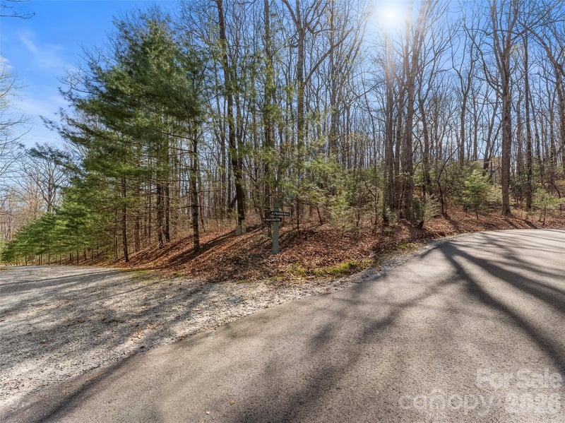 TBD White Oak Ter #9, Brevard, NC 28712