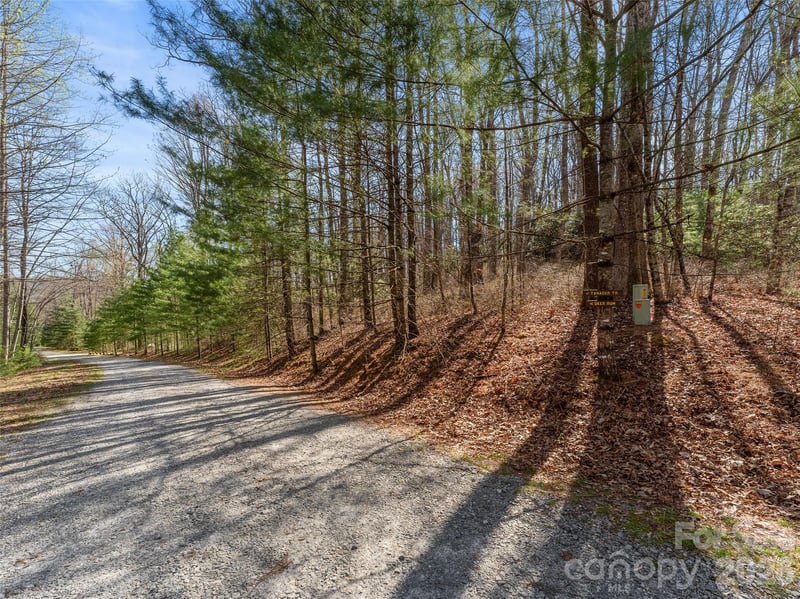 TBD White Oak Ter #9, Brevard, NC 28712