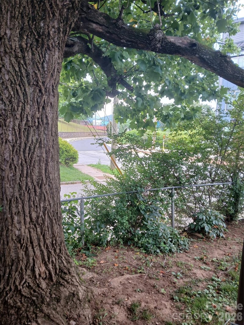 344 W Haywood St, Asheville, NC 28801