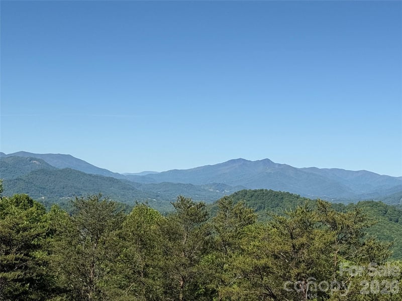 9999 Hunters Ridge Rd, Canton, NC 28716